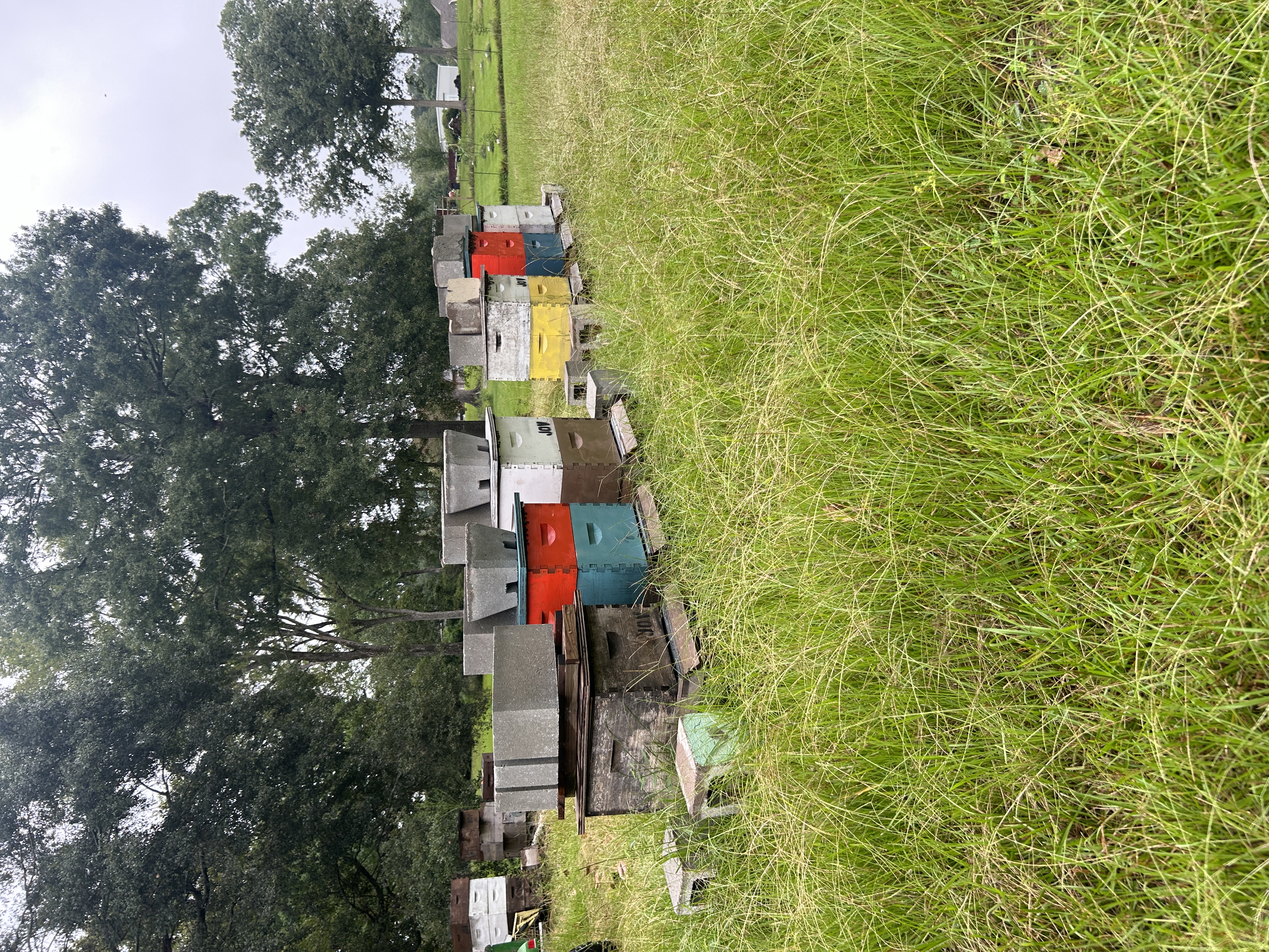 My beehives in the backyard